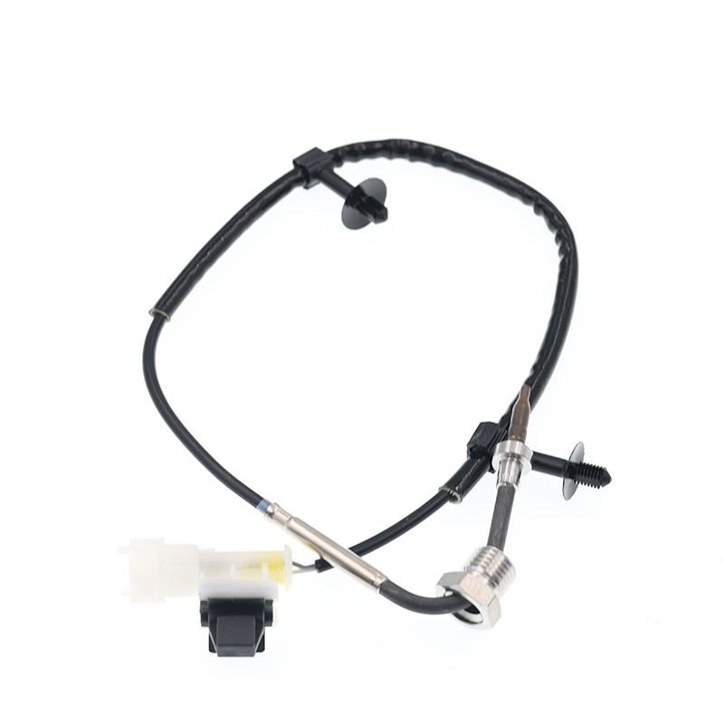 55562433,93189198,0855438 Sensor PTC EGT