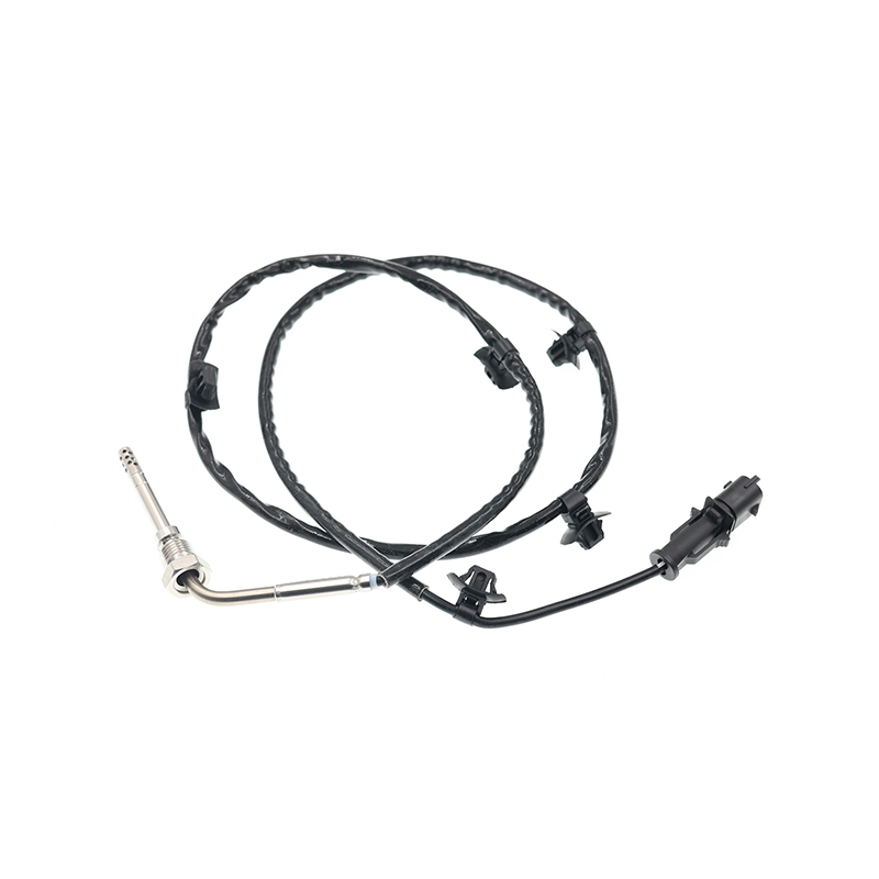 55580026,1247484 Sensor PTC EGT