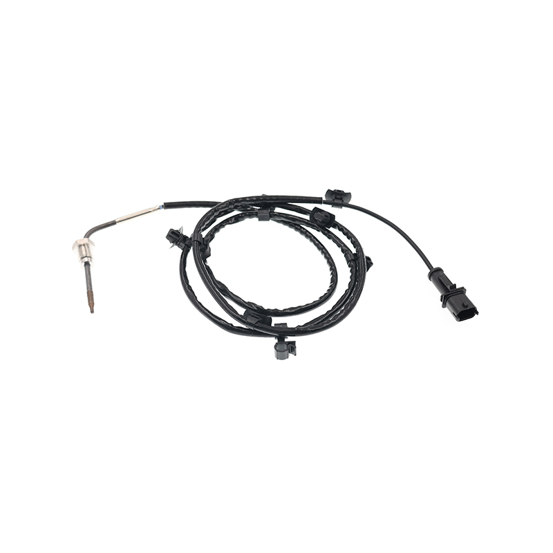 55588650,1247580 Sensor PTC EGT