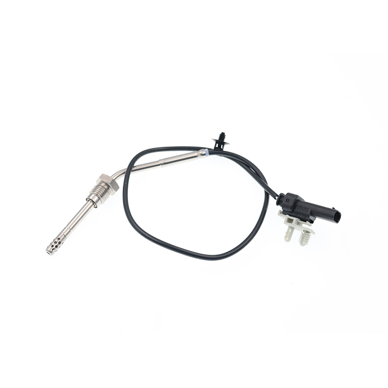 55486951,55489647,55495556 Sensor PTC EGT