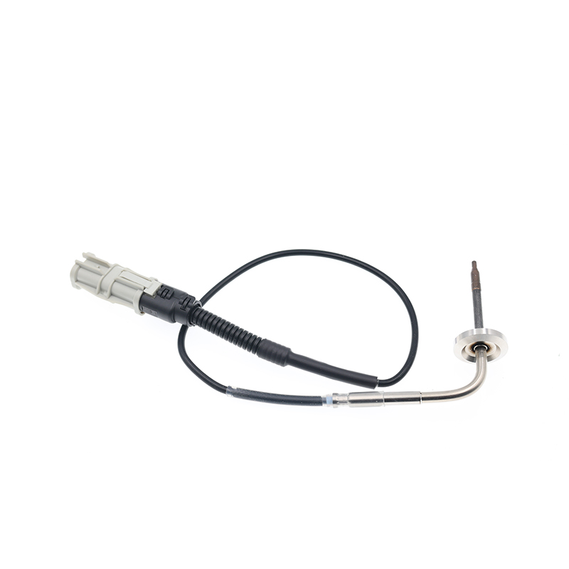 81274210252,81274210263,2V5261583 Sensor PTC EGT