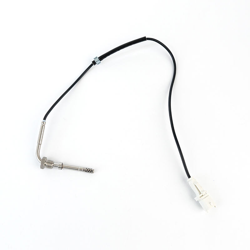 51825674,55211656,7452146 Sensor PTC EGT