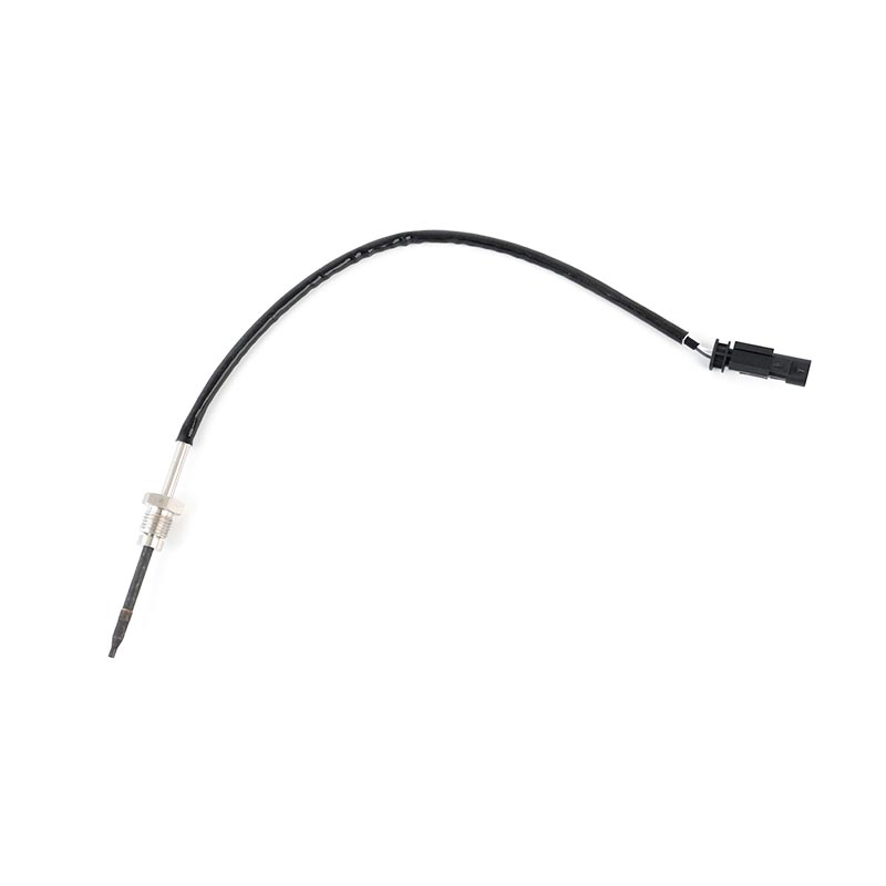 55282031,1216049 Sensor PTC EGT