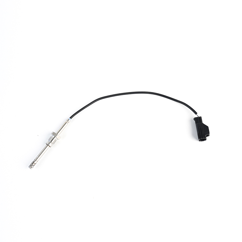 31293031,30713739,31370469 Sensor PTC EGT