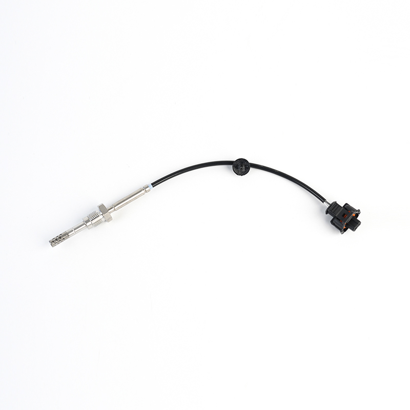 096436560,025183654,25183654 Sensor PTC EGT