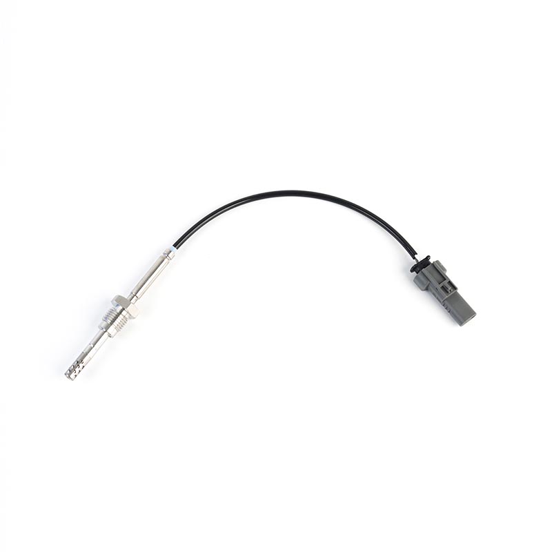 55499996,55493571,55595602 Sensor PTC EGT