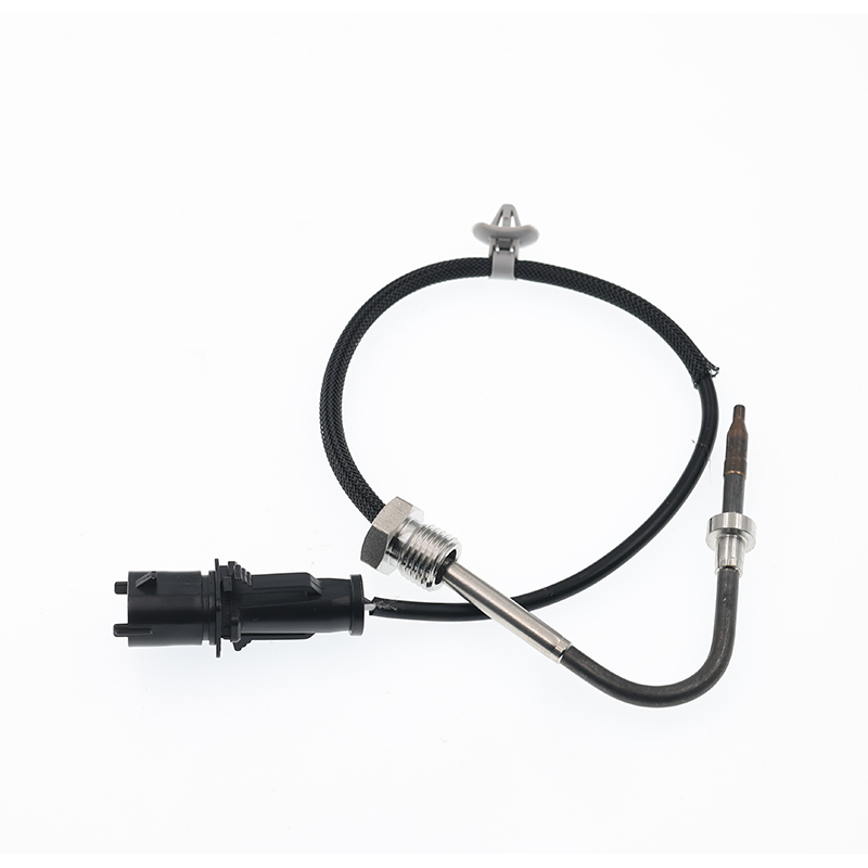 55591173,01247634,55496933 Sensor PTC EGT